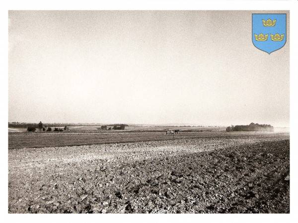 : Panorama pól północnej części wsi od strony Otoli.